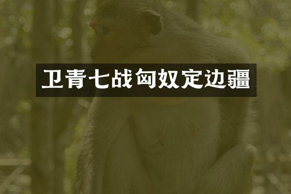 卫青七战匈奴定边疆