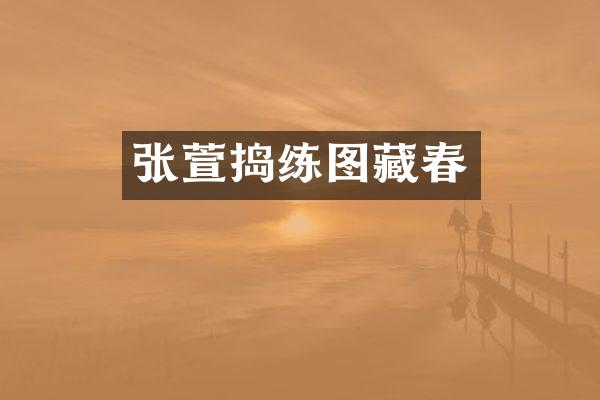 张萱捣练图藏春