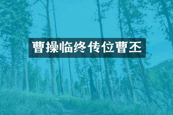 曹操临终传位曹丕