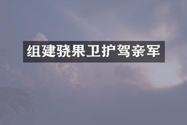 组建骁果卫护驾亲军