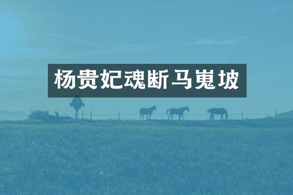 杨贵妃魂断马嵬坡