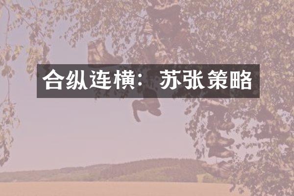 合纵连横：苏张策略