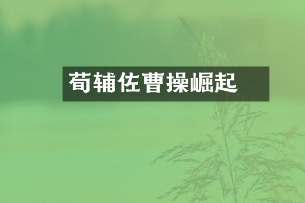 荀彧辅佐曹操崛起