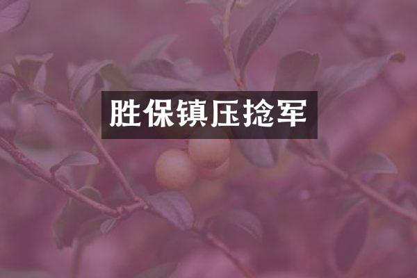 胜保镇压捻军