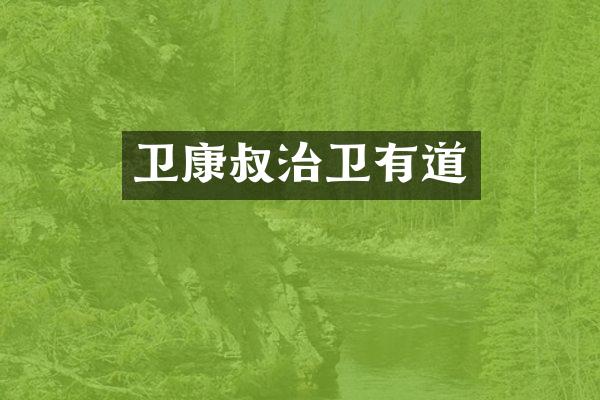 卫康叔治卫有道