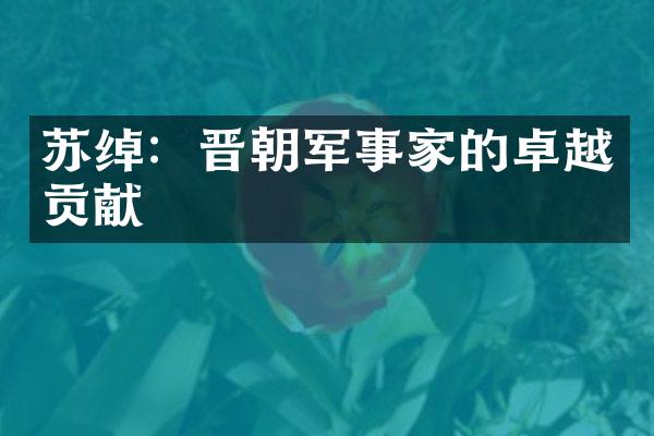 苏绰：晋朝军事家的卓越贡献