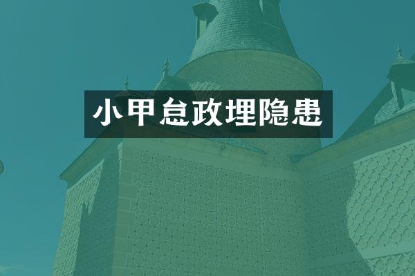 小甲怠政埋隐患
