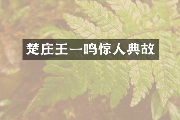 楚庄王一鸣惊人典故