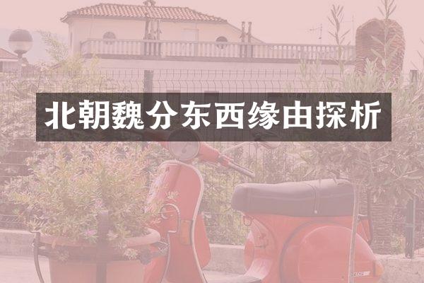 北朝魏分东西缘由探析