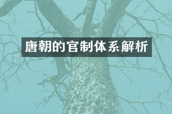 唐朝的官制体系解析