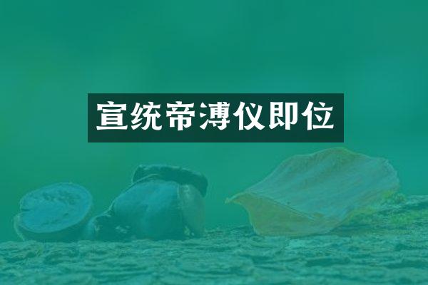 宣统帝溥仪即位
