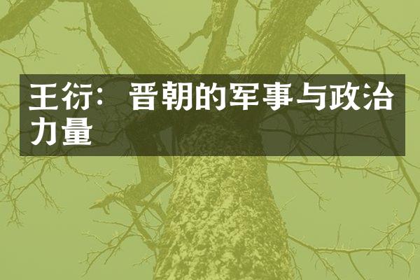 王衍：晋朝的军事与政治力量