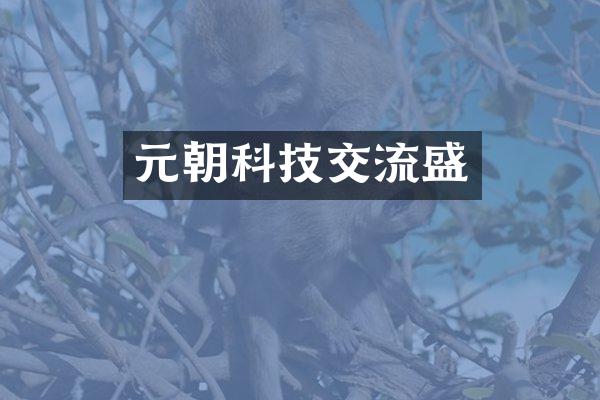 元朝科技交流盛