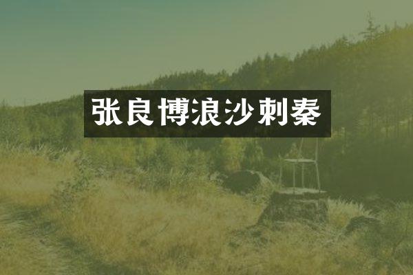 张良博浪沙刺秦