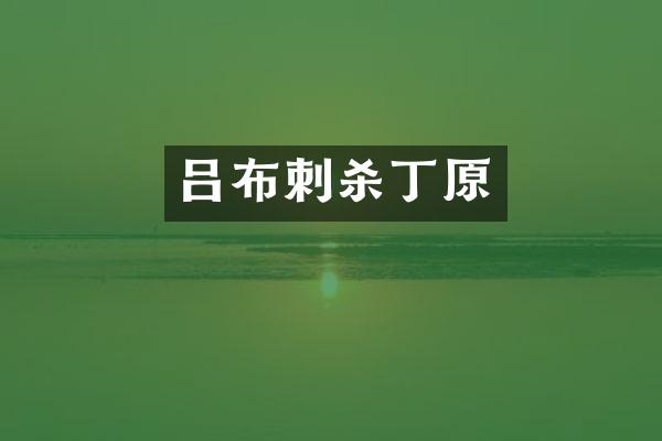 吕布刺杀丁原