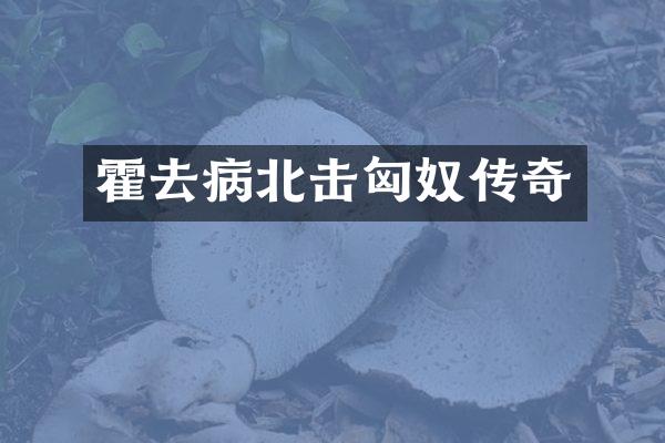 霍去病北击匈奴传奇