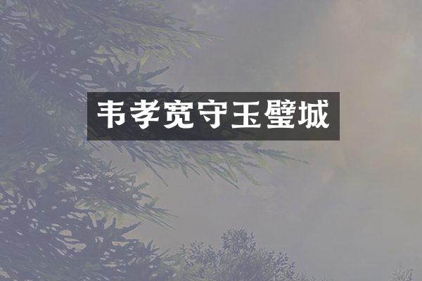 韦孝宽守玉璧城