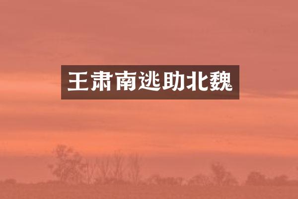 王肃南逃助北魏
