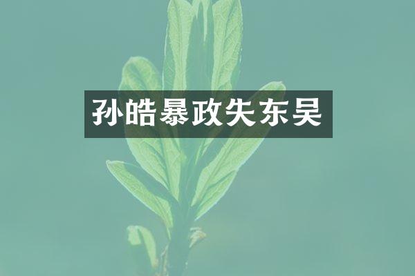 孙皓暴政失东吴