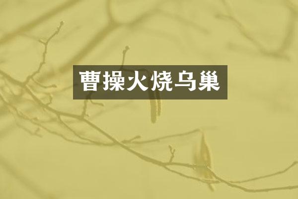 曹操火烧乌巢
