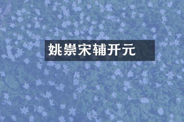 姚崇宋璟辅开元