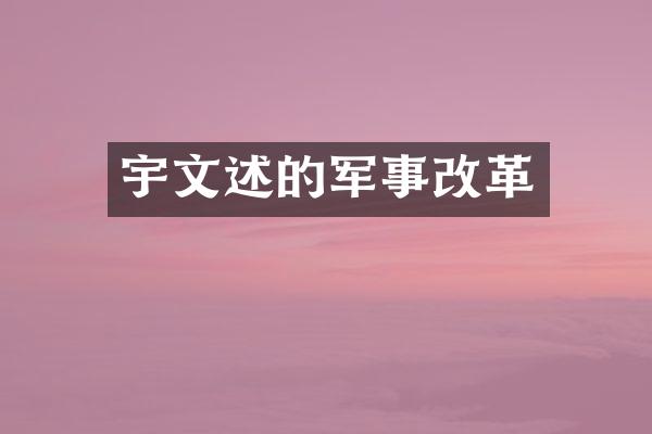 宇文述的军事改革