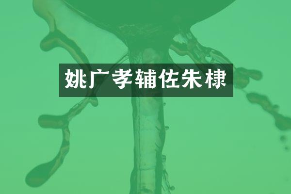 姚广孝辅佐朱棣