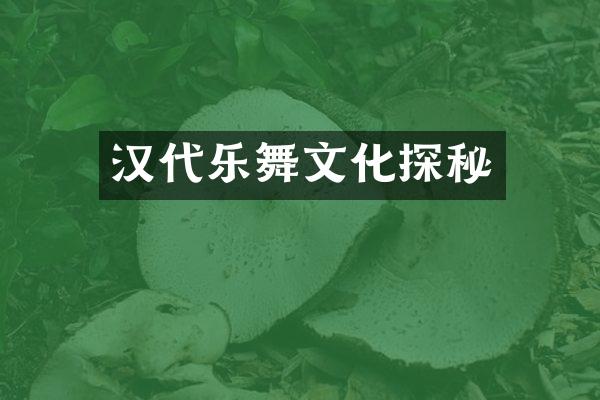 汉代乐舞文化探秘