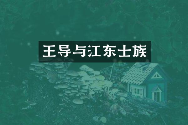 王导与江东士族