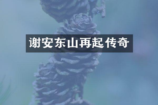 谢安东山再起传奇