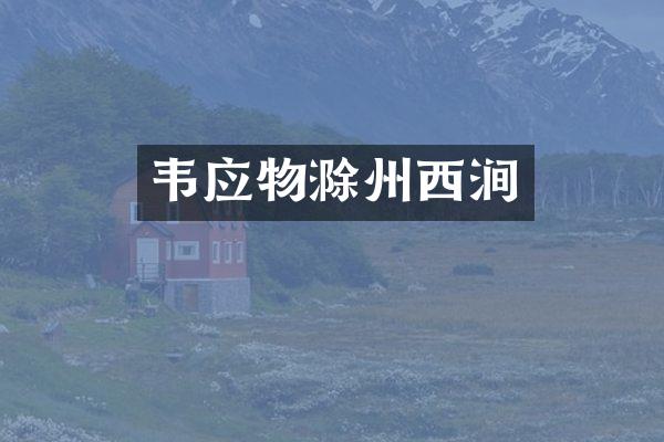 韦应物滁州西涧