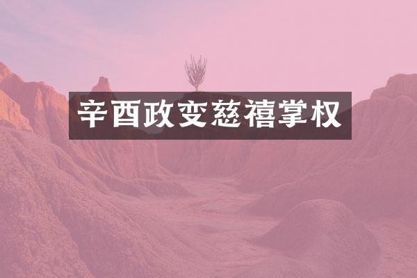辛酉政变慈禧掌权