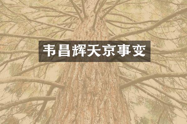 韦昌辉天京事变