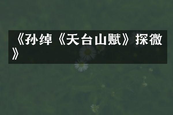 《孙绰《天台山赋》探微》