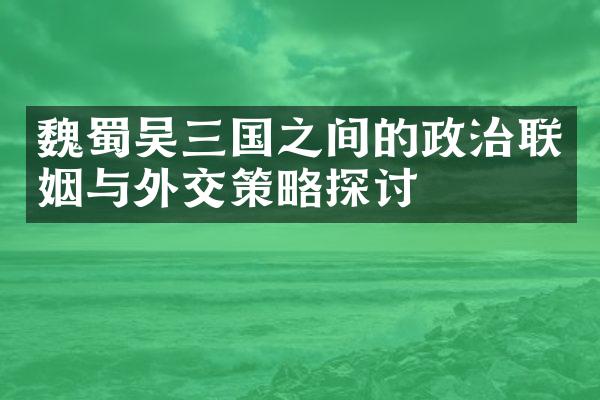 魏蜀吴三国之间的政治联姻与外交策略探讨