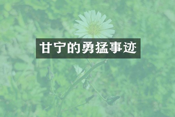 甘宁的勇猛事迹