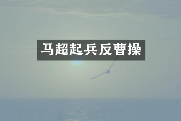 马超起兵反曹操