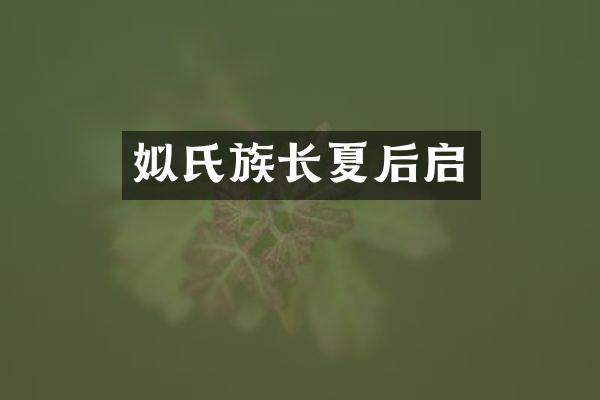 姒氏族长夏后启