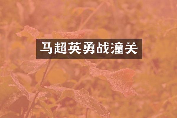 马超英勇战潼关