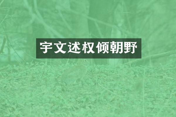 宇文述权倾朝野