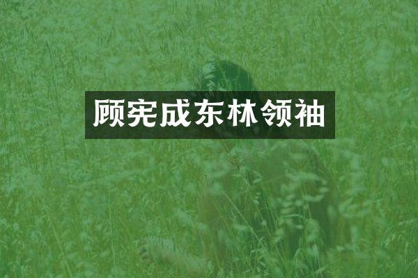 顾宪成东林