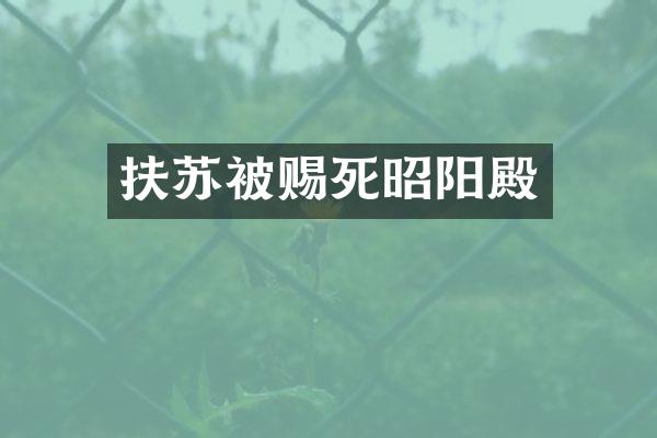 扶苏被赐死昭阳殿
