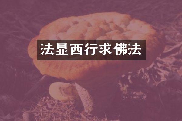 法显西行求佛法