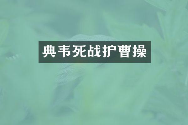 典韦死战护曹操