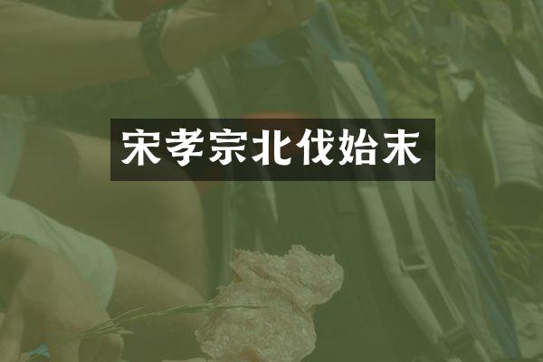 宋孝宗北伐始末