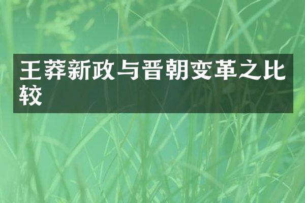 王莽新政与晋朝变革之比较