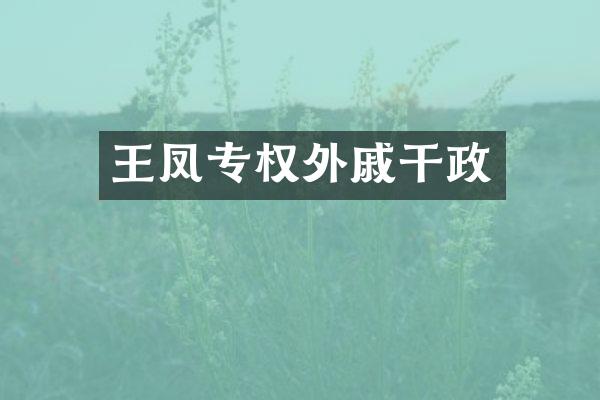 王凤专权外戚干政