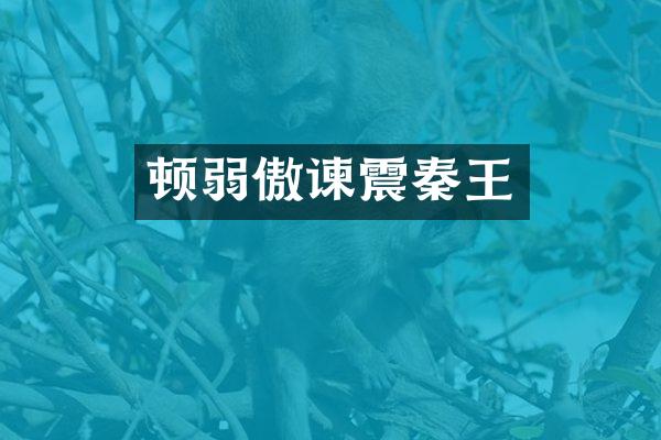 顿弱傲谏震秦王