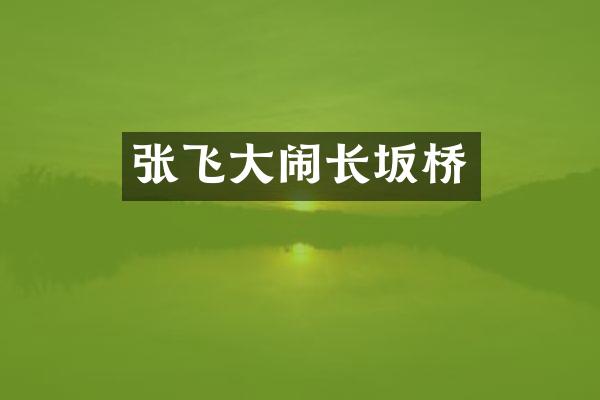 张飞大闹长坂桥