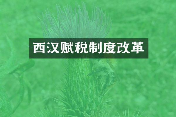 西汉赋税制度改革